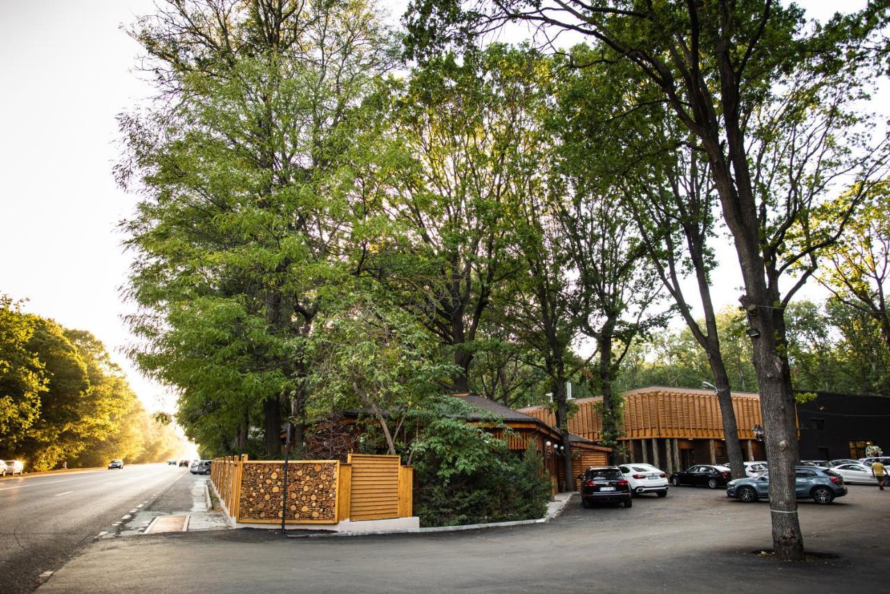 Forest M,Constanta Valu lui Traian ภายนอก รูปภาพ