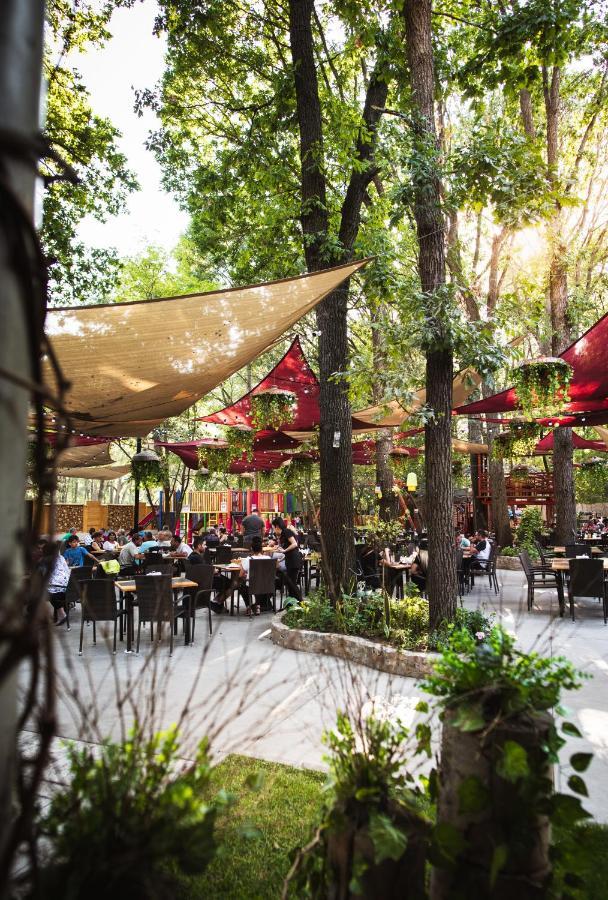 Forest M,Constanta Valu lui Traian ภายนอก รูปภาพ
