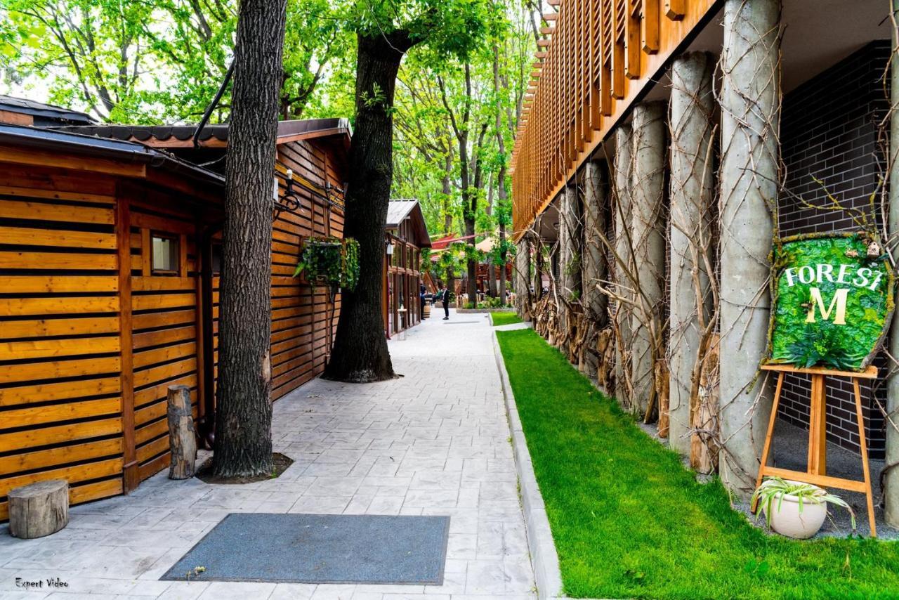 Forest M,Constanta Valu lui Traian ภายนอก รูปภาพ