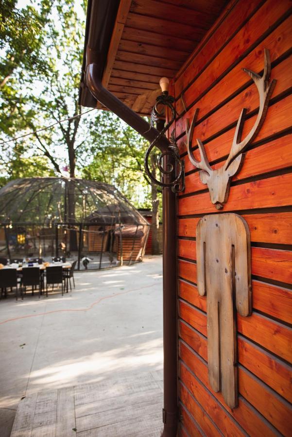Forest M,Constanta Valu lui Traian ภายนอก รูปภาพ